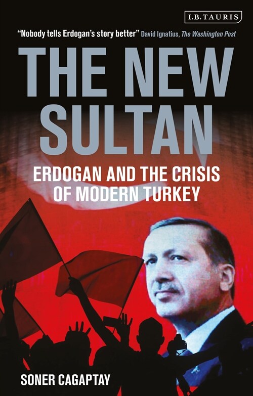 The New Sultan : Erdogan and the Crisis of Modern Turkey (Paperback)