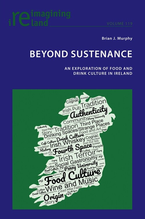 Beyond Sustenance : An Exploration of Food and Drink Culture in Ireland (Paperback, New ed)