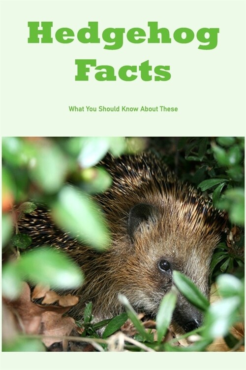 Hedgehog Facts: What You Should Know About These: Hedgehog Facts You Should Know (Paperback)