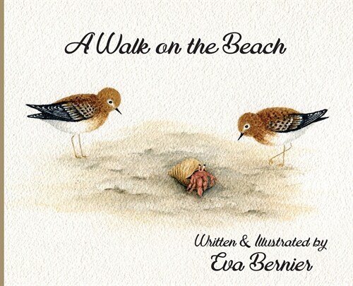 A Walk on the Beach (Hardcover)