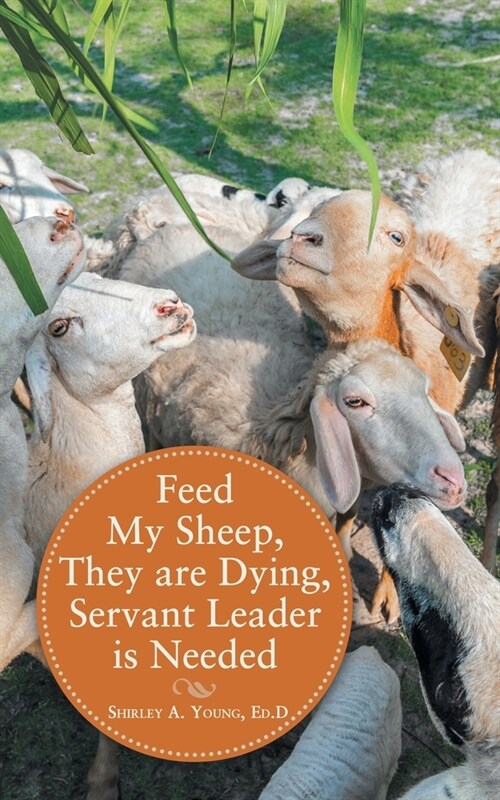 Feed My Sheep, They Are Dying, Servant Leader Is Needed (Paperback)