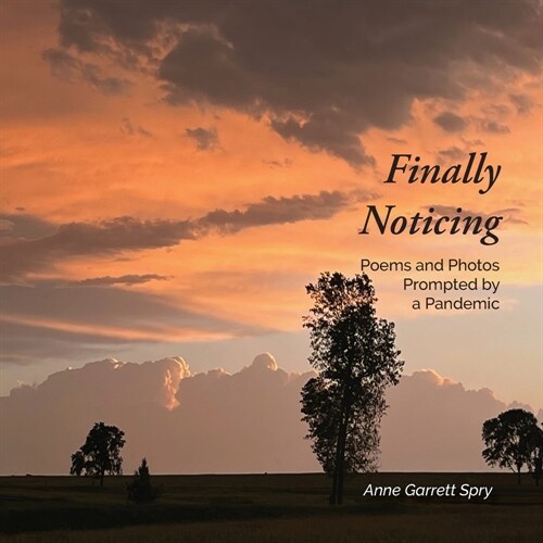 Finally Noticing: Photos and Poetry Prompted by a Pandemic (Paperback)