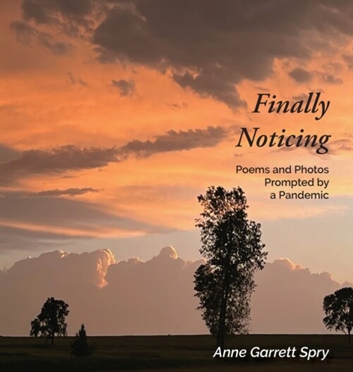 Finally Noticing: Poems and Photos Prompted by a Pandemic (Hardcover)