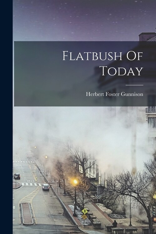 Flatbush Of Today (Paperback)