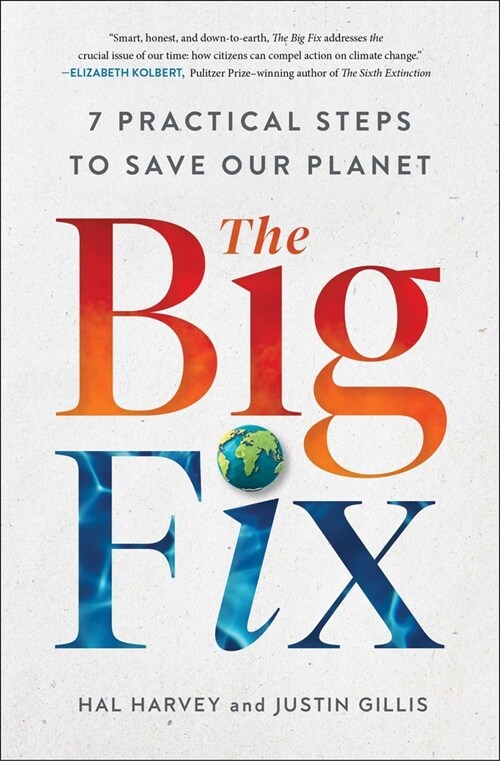 The Big Fix: Seven Practical Steps to Save Our Planet (Paperback)