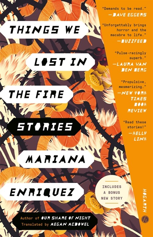 Things We Lost in the Fire: Stories (Paperback)