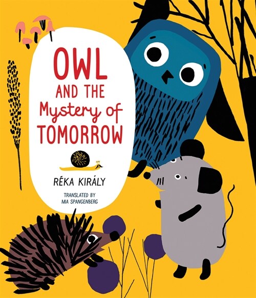 Owl and the Mystery of Tomorrow (Hardcover)