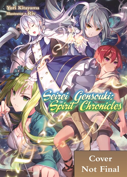 Seirei Gensouki: Spirit Chronicles: Omnibus 10 (Paperback)