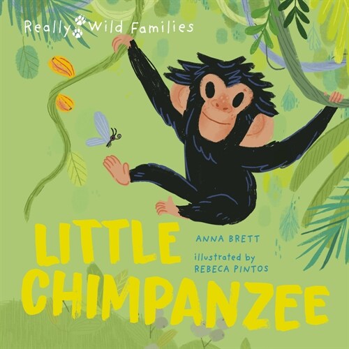 Little Chimpanzee : A Day in the Life of a Baby Chimp (Hardcover)