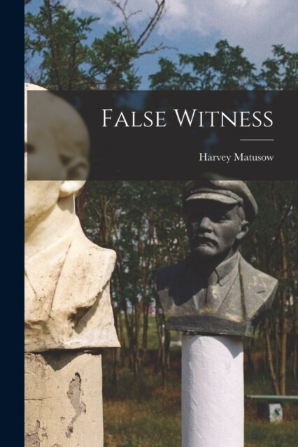 False Witness (Paperback)