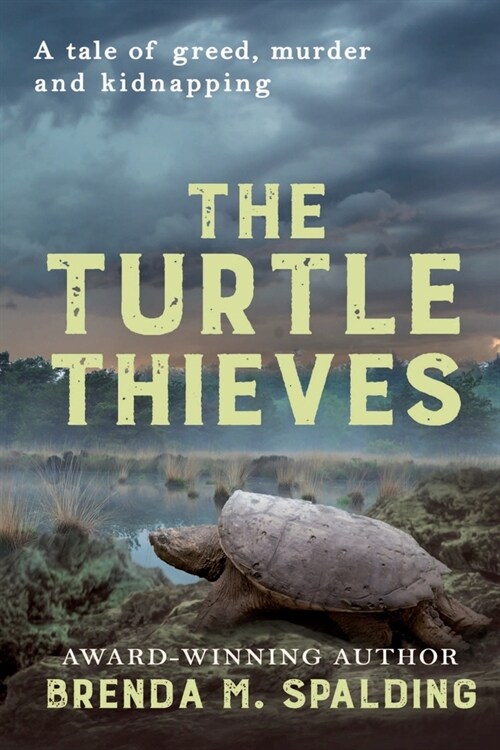 The Turtle Thieves (Paperback)