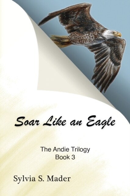 Soar Like an Eagle (Paperback)