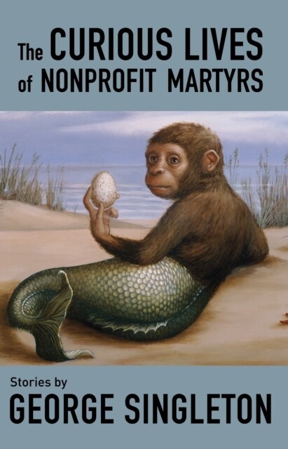 The Curious Lives of Nonprofit Martyrs (Paperback)