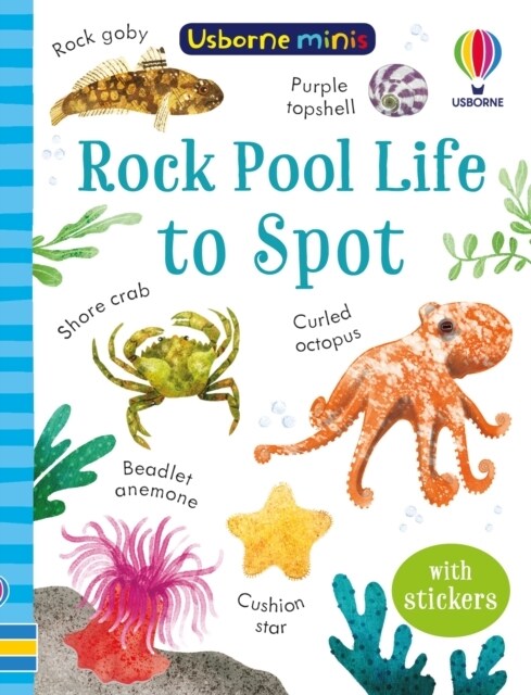 Rock Pool Life to Spot (Paperback)
