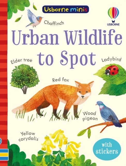 Urban Wildlife to Spot (Paperback)