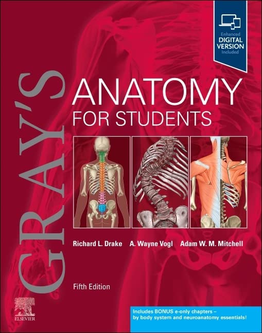 Grays Anatomy for Students (Paperback, 5 ed)