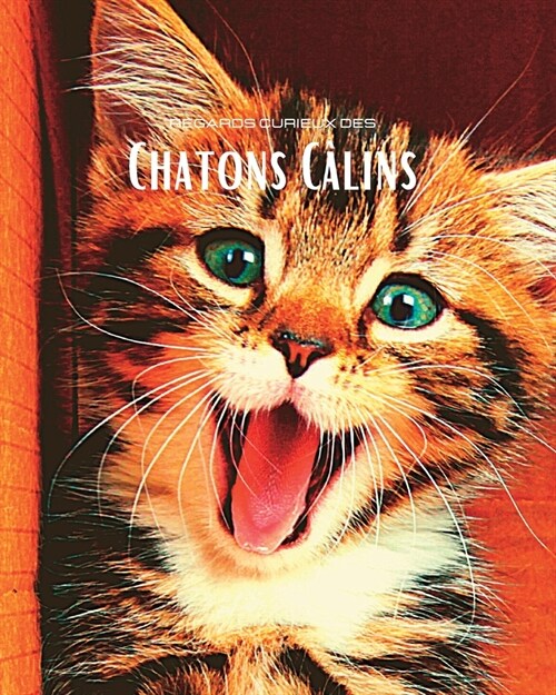 Regards curieux des Chatons C?ins: Album photo en couleur avec de magnifiques chatons. (Paperback)