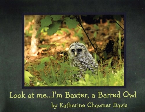 Look at Me... Im Baxter, a Barred Owl (Paperback)