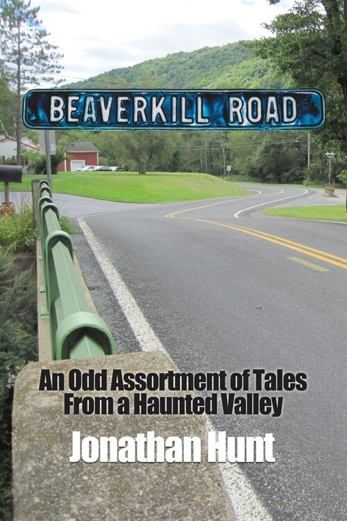 Beaverkill Road: An Odd Assortment of Tales From a Haunted Valley (Paperback)