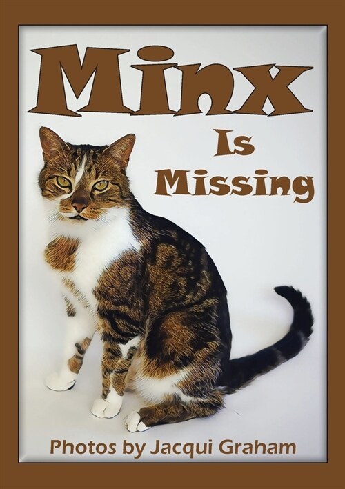 Minx is Missing (Paperback)