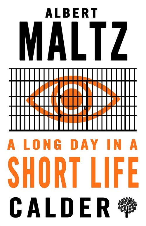 A Long Day in a Short Life (Paperback)