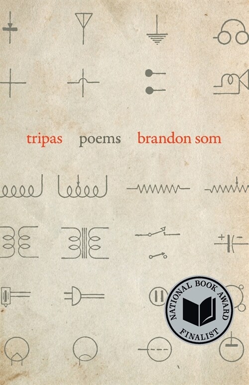 Tripas (Paperback)