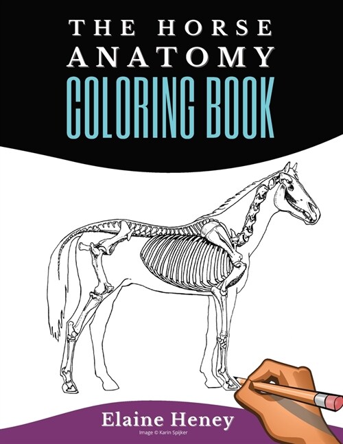 Horse Anatomy Coloring Book For Adults - Self Assessment Equine Coloring Workbook: Test Your Knowledge - For Equestrians & Veterinary Students (Paperback)