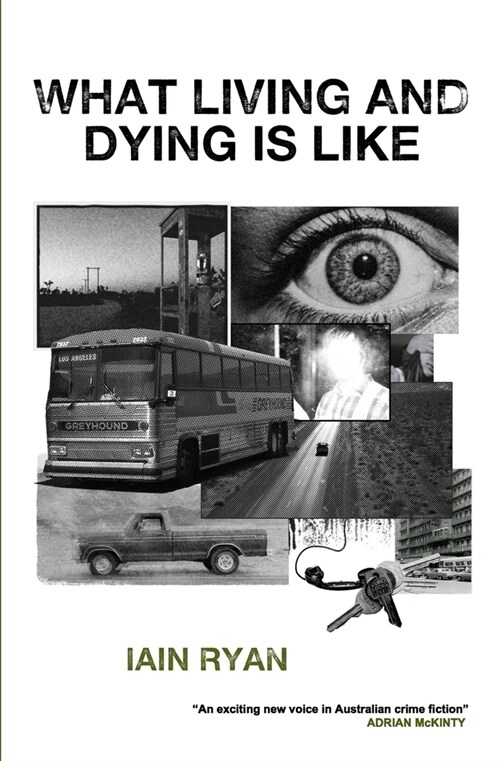 What Living And Dying Is Like: Two Short Stories (Paperback)