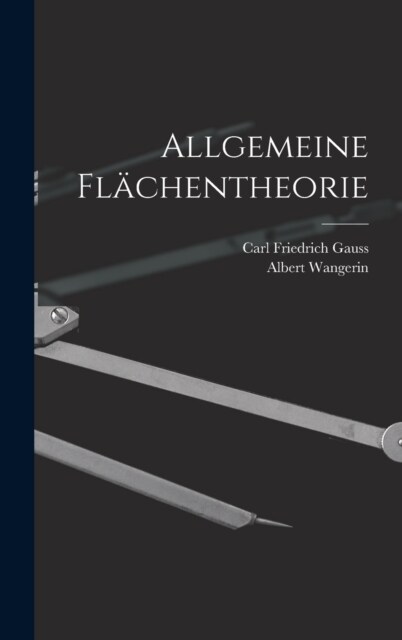 Allgemeine Fl?hentheorie (Hardcover)