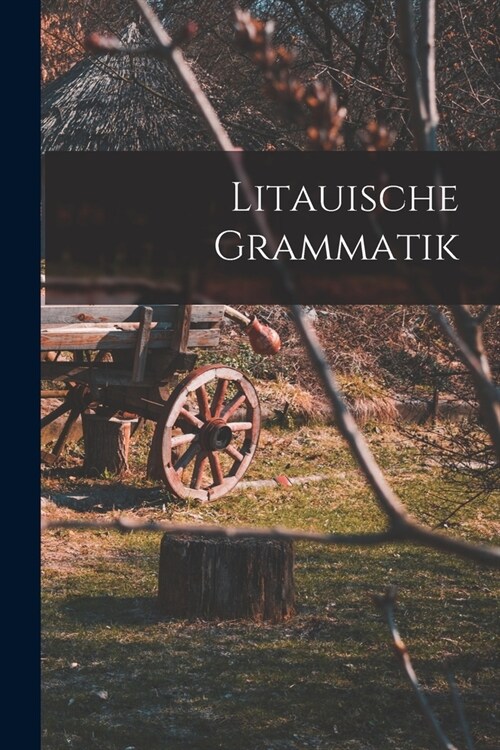 Litauische Grammatik (Paperback)