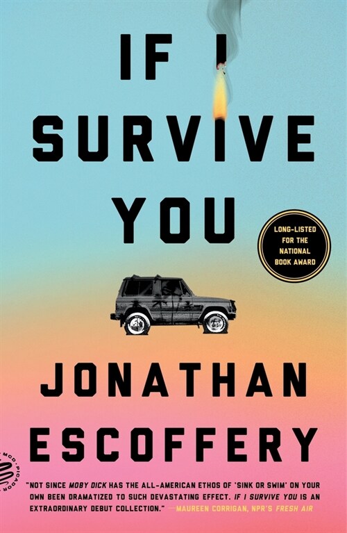 If I Survive You (Paperback)