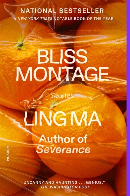 Bliss Montage: Stories (Paperback)