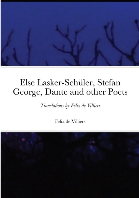Else Lasker-Sch?er, Stefan George, Dante and other Poets: Translations by Felix de Villiers (Paperback)