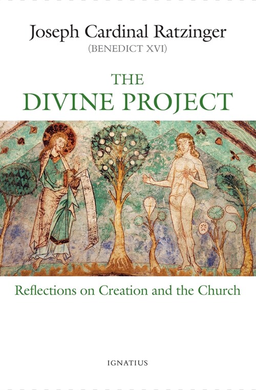 The Divine Project: Reflections on Creation and the Church (Paperback)