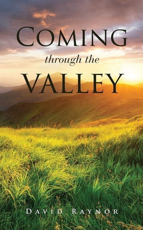 Coming through the valley (Paperback)