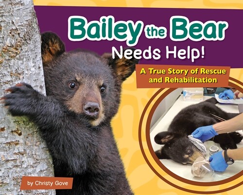 Bailey the Bear Needs Help!: A True Story of Rescue and Rehabilitation (Hardcover)