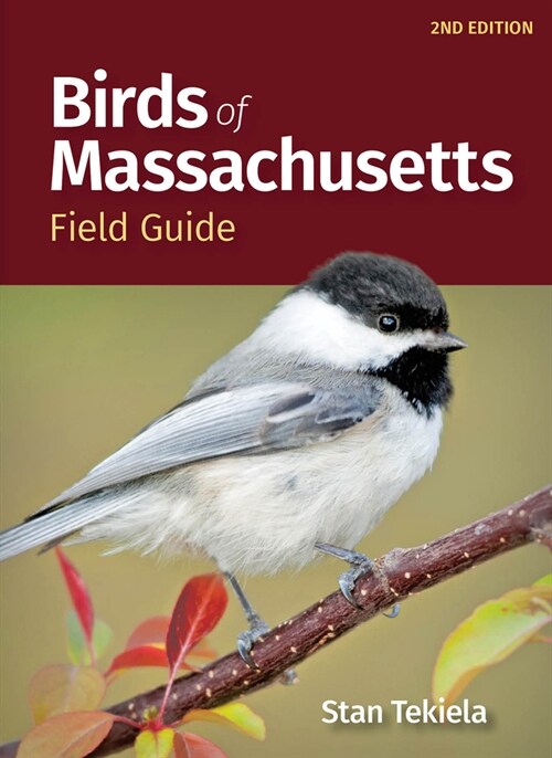 Birds of Massachusetts Field Guide (Paperback, 2, Revised)