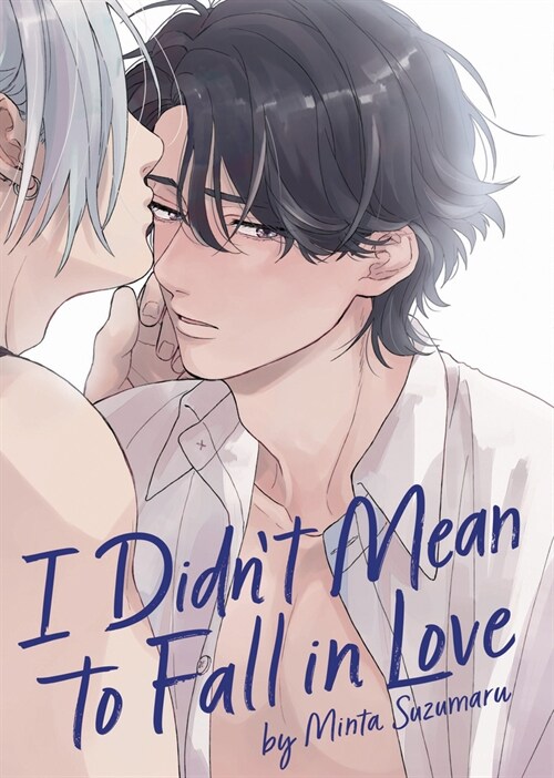 I Didnt Mean to Fall in Love (Paperback)