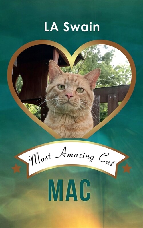Mac: Most Amazing Cat (Hardcover)