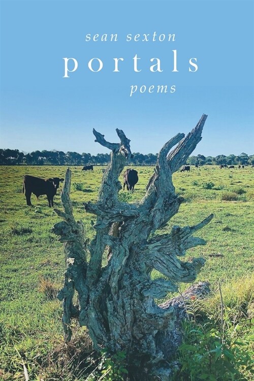 Portals: Poems (Paperback)