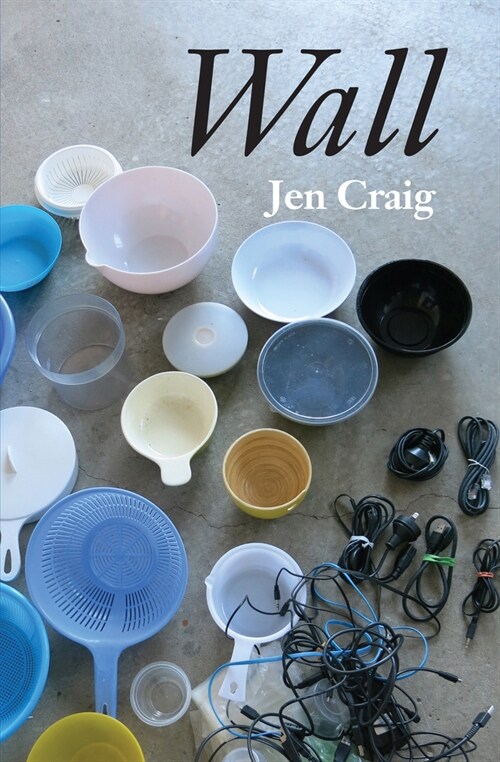 Wall (Paperback)