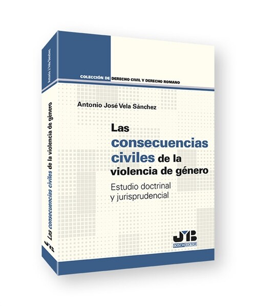 LAS CONSECUENCIAS CIVILES DE LA VIOLENCIA DE GENERO (Paperback)