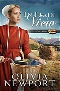 In Plain View (Hardcover, Large Print)
