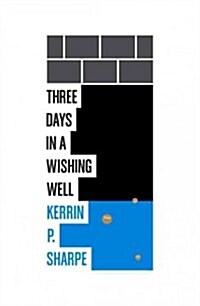 Three Days in a Wishing Well (Paperback)