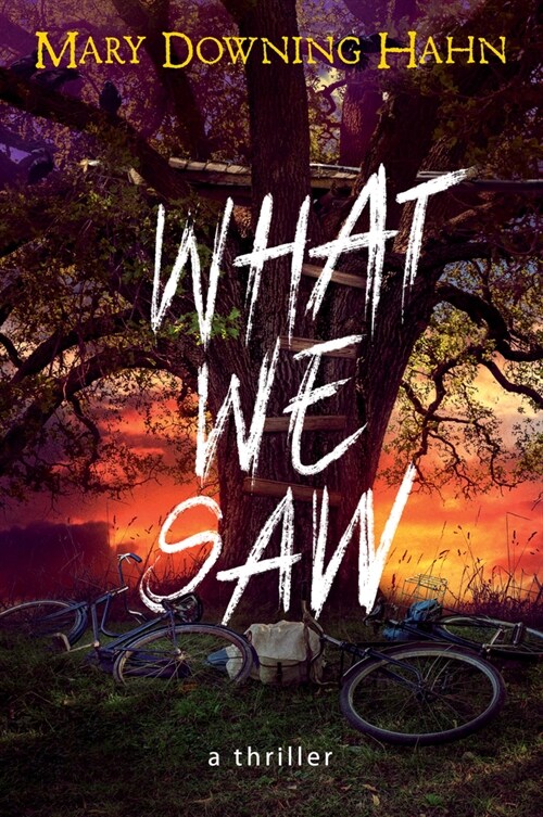 What We Saw: A Thriller (Paperback)