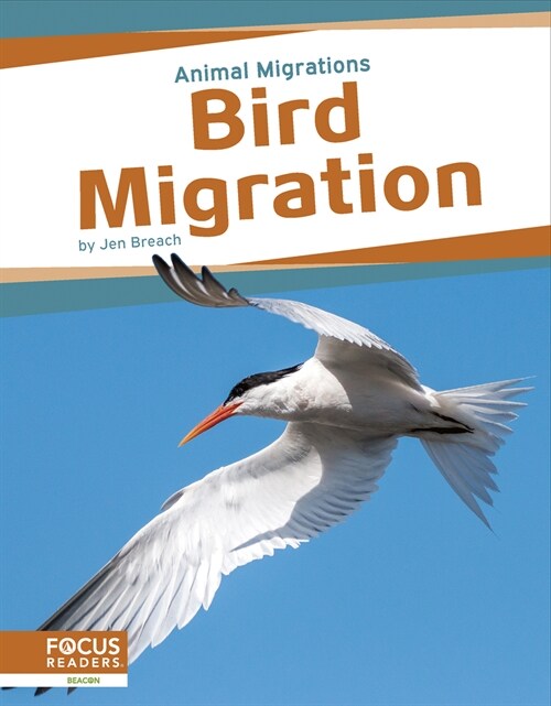 Bird Migration (Library Binding)