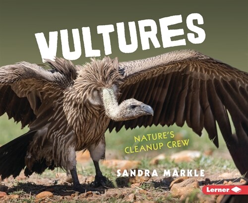 Vultures: Natures Cleanup Crew (Paperback)