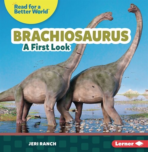 Brachiosaurus: A First Look (Paperback)