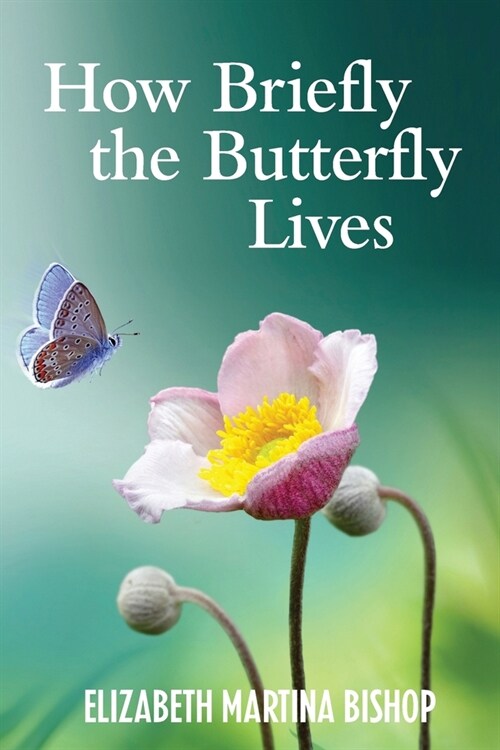 How Briefly the Butterfly Lives (Paperback)