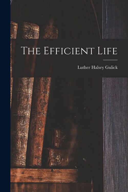 The Efficient Life (Paperback)